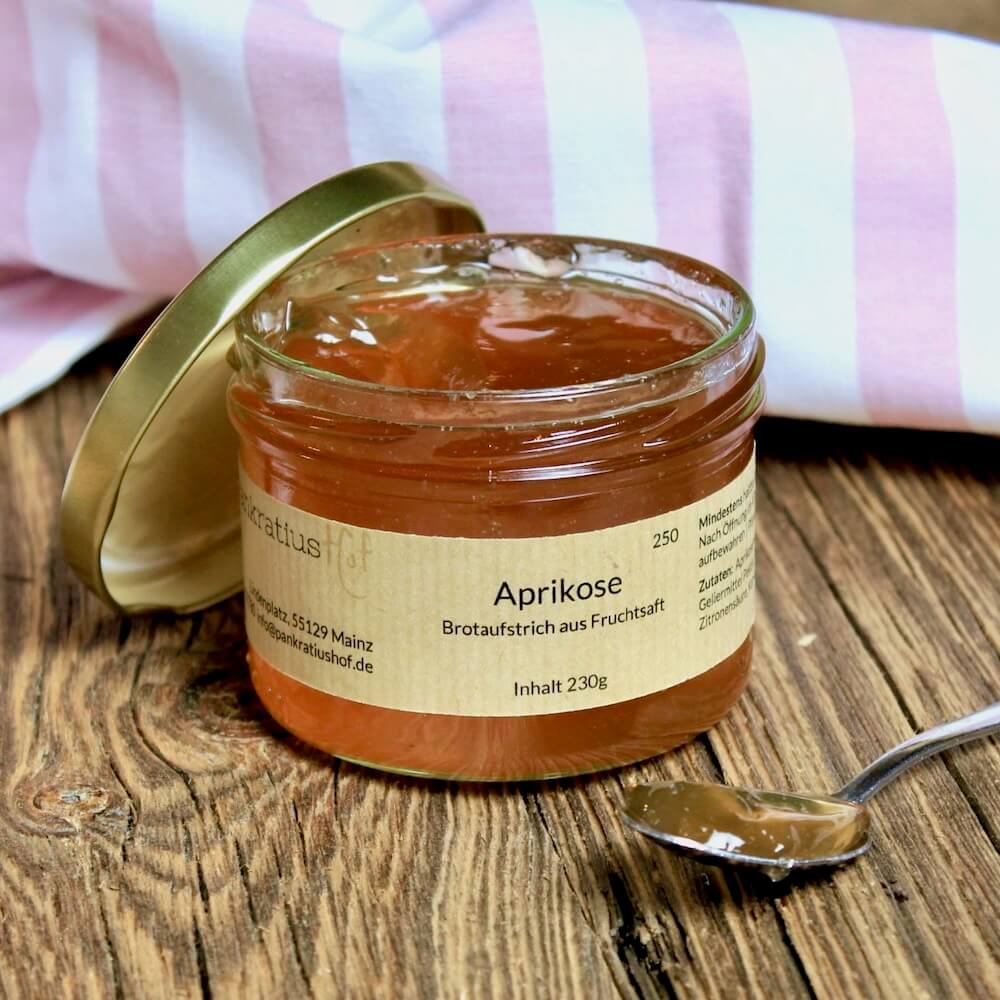 Aprikosen-Fruchtaufstrich aus Saft