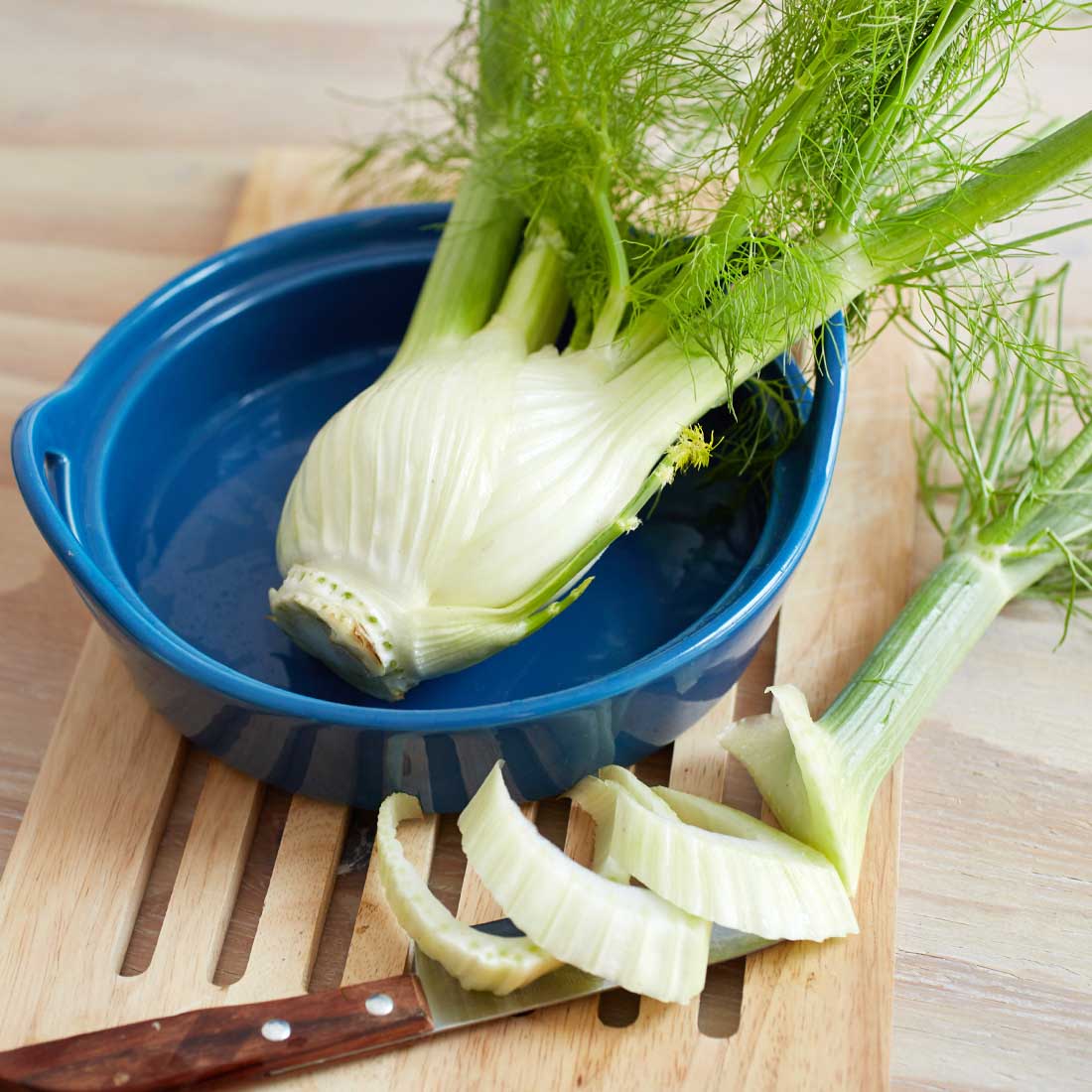Knollenfenchel