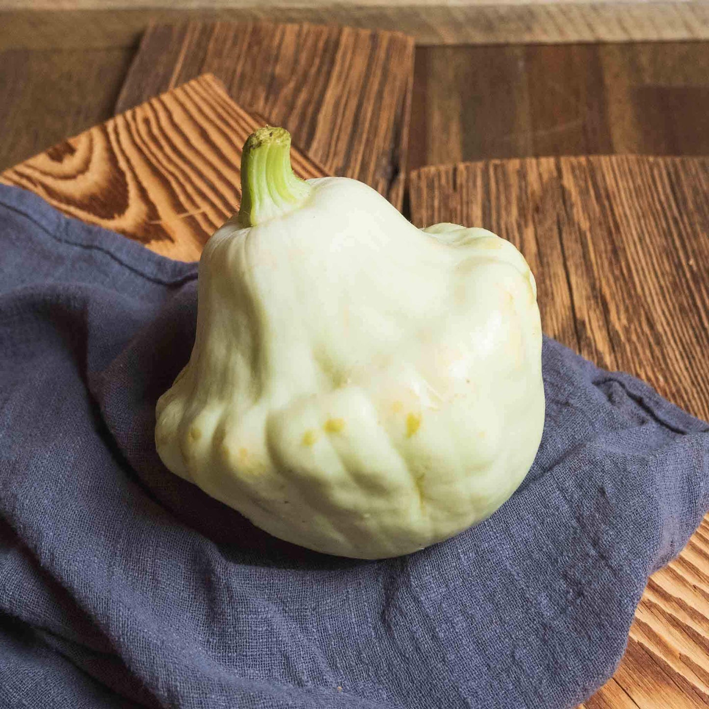 Kürbis Patisson
