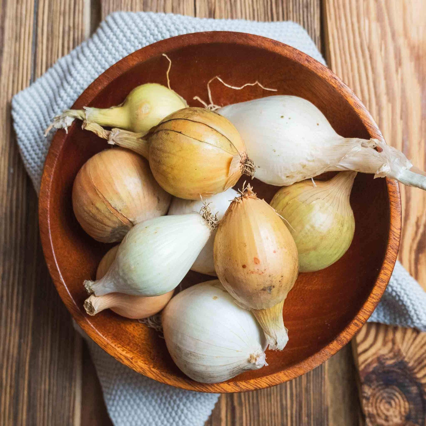 Zwiebel-Mix