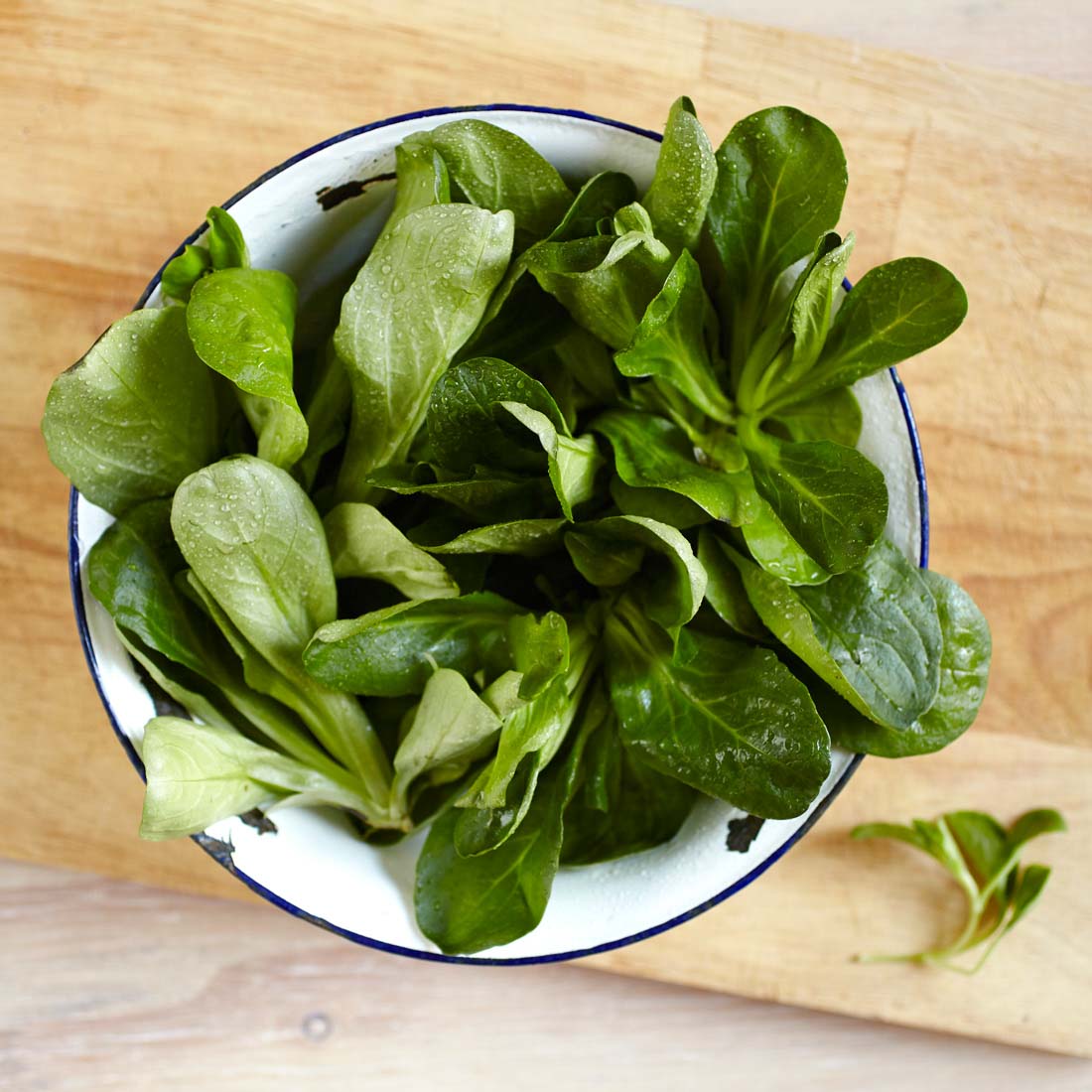 Feldsalat