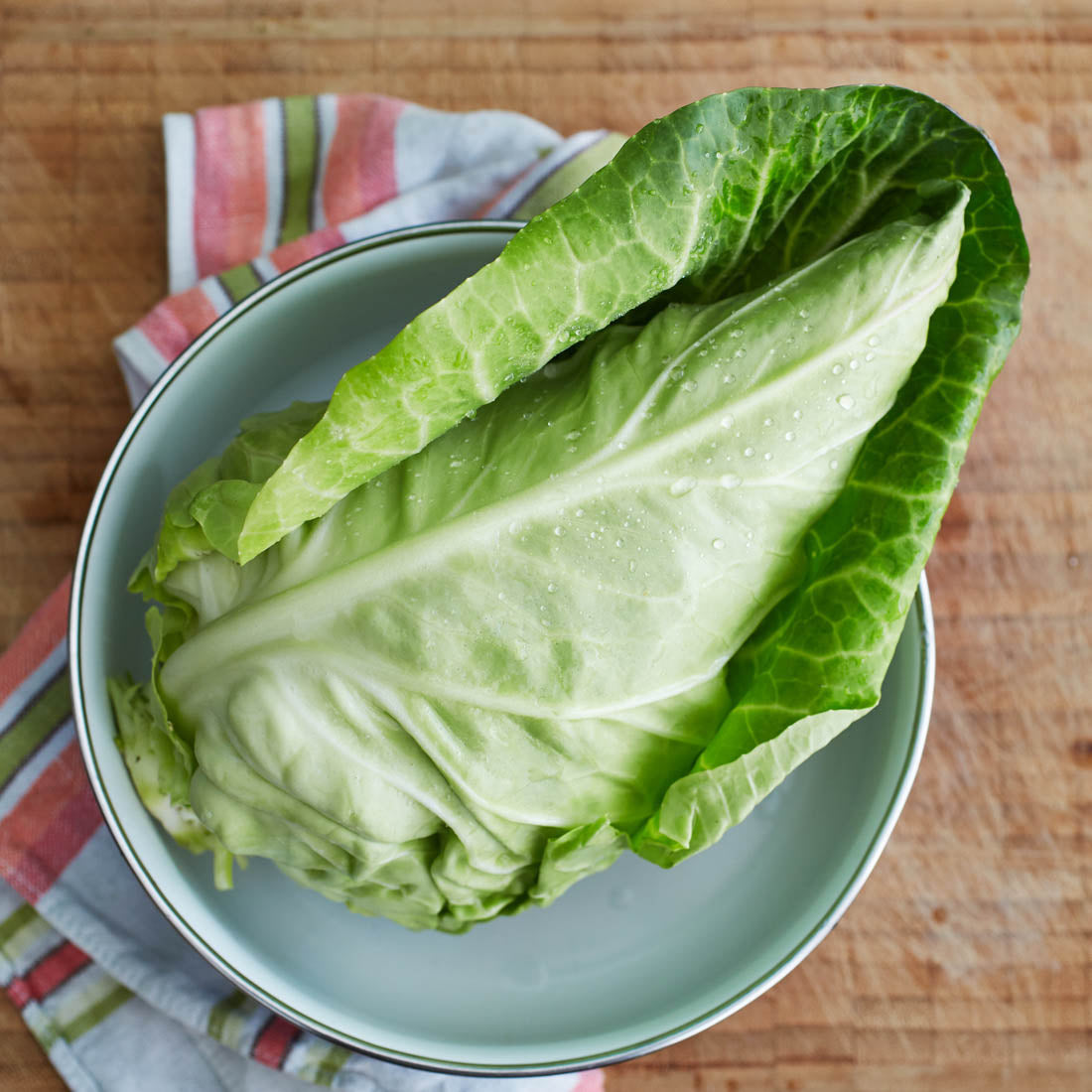 Spitzkohl