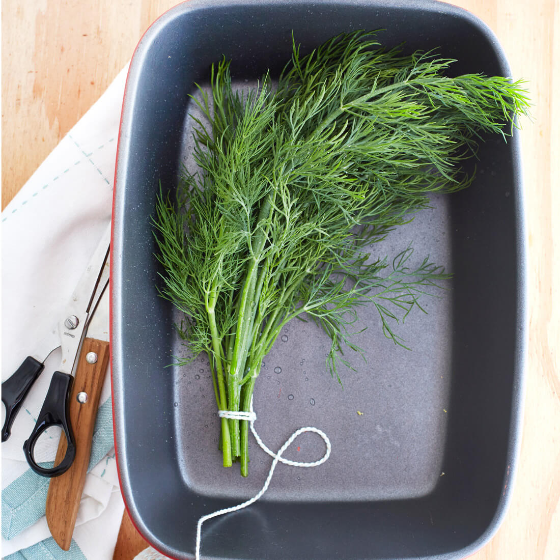Dill frisch
