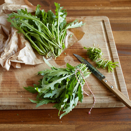 Rucola