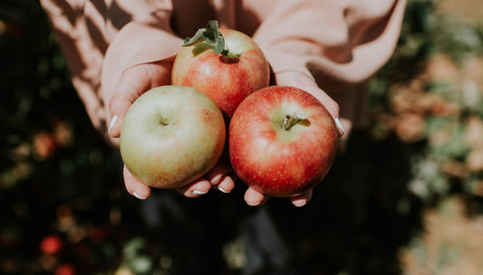 Regionale Äpfel im Klimacheck