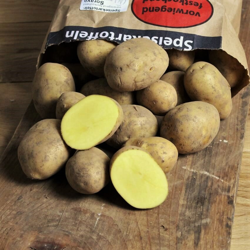 Kartoffeln neue Ernte v. fk. - 2,5 kg Beutel